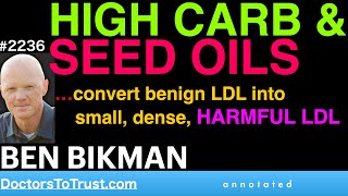 BEN BIKMAN h5  HIGH CARB amp SEED OILS convert benign LDL into small dense Harmful LDL [upl. by Seavey]