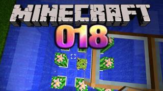 Lets Play Minecraft 018 Deutsch HD  Die Falle ist fertig [upl. by Anivid148]