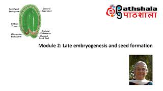 Module 2 Late Embryogenesis and Seed formation EPGPathshala [upl. by Atteroc]