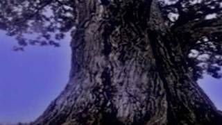 Myth of The Great Oak from Kalevala [upl. by Nerhtak]