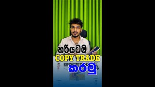 COPY TRADING හරියට කරමු [upl. by Medwin]