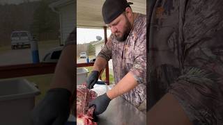 Some backstrap deer processing Fresh venison [upl. by Sanfo17]