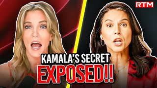 Megyn Kelly STUNNED as Tulsi Gabbard EXPOSES Kamala Harris [upl. by Priscella]