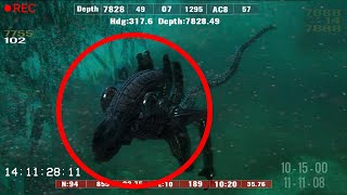 10 Most Bizarre Creatures Found In The Mariana Trench [upl. by Grannia326]