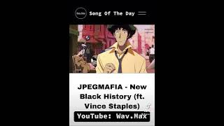 JPEGMAFIA  New Black History ft Vince Staples Anime Visualizer [upl. by Harac]