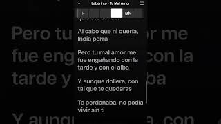 Laberinto  Tu Mal Amor Karaoke Desvocalizado [upl. by Noryk]