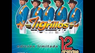 Los tigrillos Se baila asi mix [upl. by Adrianna]