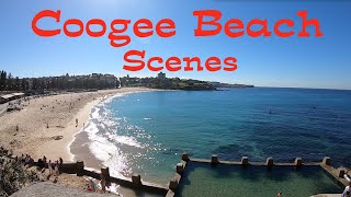 Coogee Beach Sydney Australia  Sydney Beaches Australia HD [upl. by Kandace290]