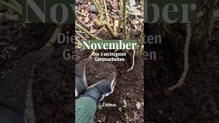 Im November gibts jetzt das im Garten zu tun 🍂🧡 ✅ pflanzen garden meinschönergarten [upl. by Assiluj817]