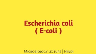 Escherichia coli  ecoli   microbiology lecture in hindi [upl. by Anohr]