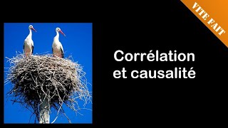 🧆 VITE FAIT  Corrélation et causalité [upl. by Tandy]