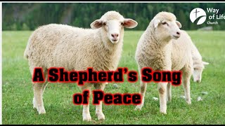 The Shepherds Song of Peace [upl. by Edylc]