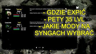 Broken Ranks  Gdzie expić  Jakie mody na syngach  Jak dawać staty u umki  pety 35 lvl [upl. by Hembree]