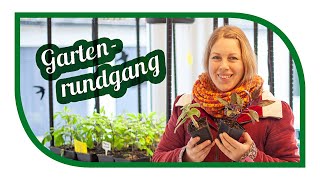 Unsere Aussaaten im Januar 🌶 Neues aus der Anzuchtstation und unserem Garten 🥬 Gartenrundgang [upl. by Edgar]