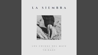 La Siembra [upl. by Allimac]