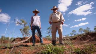 Graziers working to improve Reef health [upl. by Amsden237]