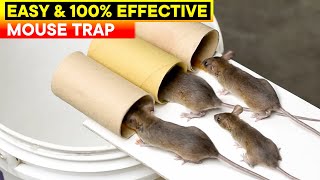 Best and Easy Mouse Trap Bucket  Rat Trap Homemade  DIY Mouse Trap [upl. by Haodnanehs]