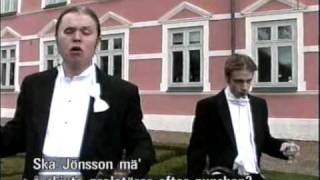 Huller om bullerskånska dialekter2002avi [upl. by Marela506]