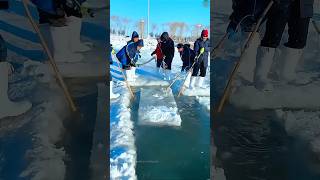 നദിയിലെ ഐസ് വെട്ടുന്നത് കണ്ടോ ice harvesting in china malayalam shorts [upl. by Pussej]