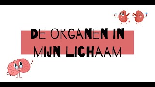 De organen in mijn lichaam [upl. by Fini672]