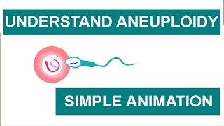 Aneuploidy in Humans Chromosome anomalies  Learn about Aneuploidy with This Simple Animation [upl. by Leanna]