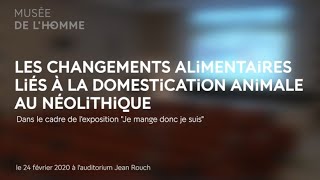 Les changements alimentaires liés à la domestication animale au Néolithique [upl. by Cherie]