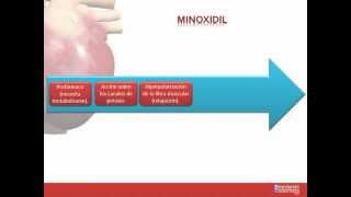 Tema 26 FARMACOLOGÍA CARDIOVASCULAR Fármacos indicados para la Hipertensión Arterial [upl. by Rico996]