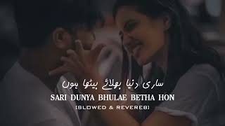 Sari Dunya Slowed amp Reverb  Kitni Chahat  Urdu Slowed Reverb Songs  Sajjad Solangi [upl. by Bjork]