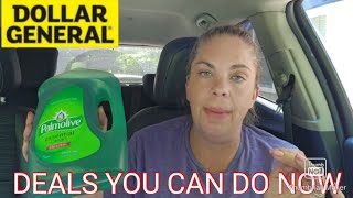 Dollar General Deals You Can Do Now June 2024 [upl. by Pool725]