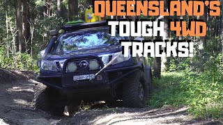 KENILWORTHIMBIL STATE FOREST 4WD TRIP 2019 [upl. by Atteloiv]