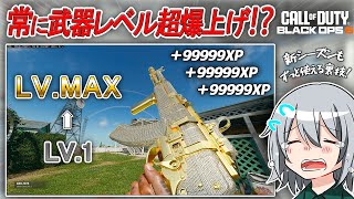 〖CODBO6〗武器レベルを超爆速で上げる方法！？公開マッチで常に使える裏技！「トークン」なしで新シーズンでも使える効率のレベル上げを紹介します！ [upl. by Ysle415]