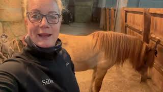 A day with TheHorseSeller  ICELANDIC HORSE DREAMS S1E2 [upl. by Linnell]