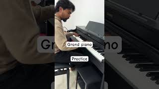 Grand piano  Beethoven viralshorts trendingshorts [upl. by Borg479]