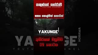 අභිරහස් වලව්ව 09 කොටස  sinhala holman katha sinhalaholmankatha horrortok viral foryou [upl. by Glaser]