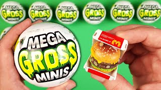 The Mega Gross Minis  Opening And Reviewing [upl. by Ecnatsnoc]