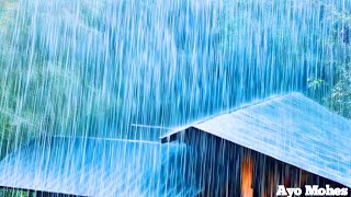 Serene Rain and Thunder Relaxing Sounds on Cabin Roof for Deep Sleep and Calm Mind [upl. by Tomasina855]