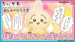 イヤッハー！めっちゃ叫ぶうさぎのぬいぐるみ登場！「はなしをきいて たくさん叫ぶよ！ おしゃべりうさぎ」を紹介！【バンダイ公式】【バンマニ】 [upl. by Damle]