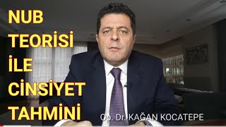 NUB TEORİSİ BEBEĞİN GENİTAL ÇIKINTISINDAN CİNSİYETİ 12 HAFTADAN İTİBAREN GÖRMEK NE KADAR DOĞRU [upl. by Eninaej]