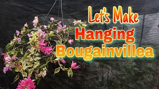 Hanging Bougainvillea  How to Make Hanging Bougies [upl. by Clabo]