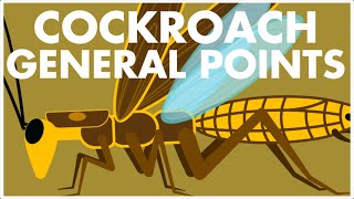 CockroachGeneral points  Cockroach Class 11 NEET 2022 [upl. by Elisabet]