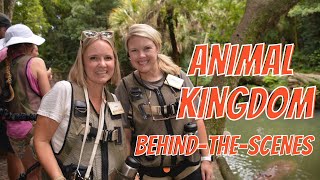 Behind the Scenes at Disney’s Animal Kingdom Wild Africa Trek [upl. by Aisset]