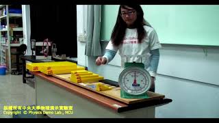 【中央大學】物理演示實驗－骨牌101 Chain Reaction domino [upl. by Siubhan]