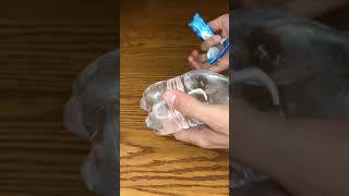 Making A Frozen Snow Globe Out Of A Water Bottle shorts [upl. by Enelec885]