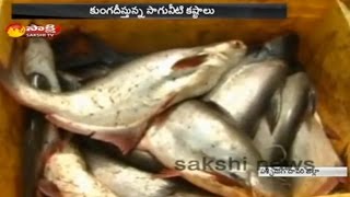 Pond Fish Farming Farmers Suffering Water and Price  Watch Exclusive [upl. by Wallas237]