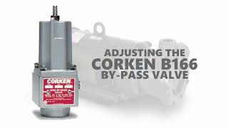 Adjusting the Corken B116 bypass valve [upl. by Hpsoj]