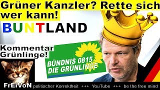 Grüner Kanzler Rette sich wer kann  Meuthen und der Grüne Habeck [upl. by Neerihs243]