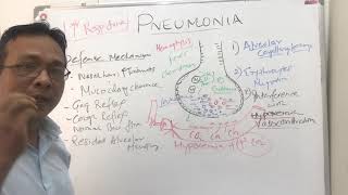 Pneumoniapathophysiology [upl. by Eednyl]