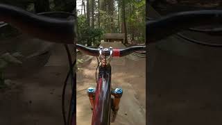 CHICKSANDS MTB💥Lines in the Pines mtb bike downhill chicksands bikepark drops jumps [upl. by Ierna]