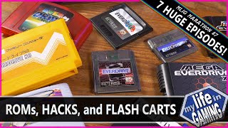 My Life in Gaming Marathon 7  ROMs Hacks Flash Carts and Optical Disc Emulators [upl. by Narat]