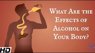 What Are The Effects Of Alcohol On Your Body [upl. by Ahsilet]